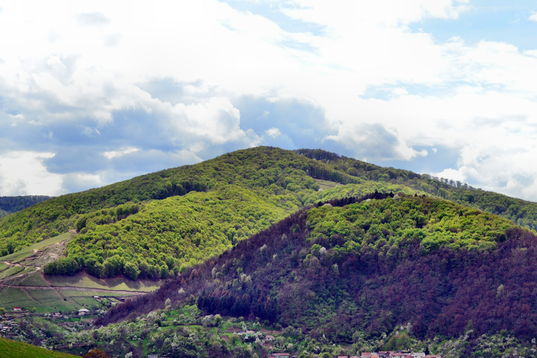 Cugir,landacape