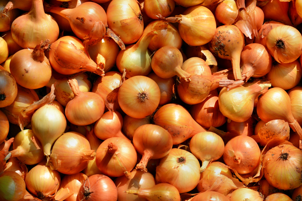 onion