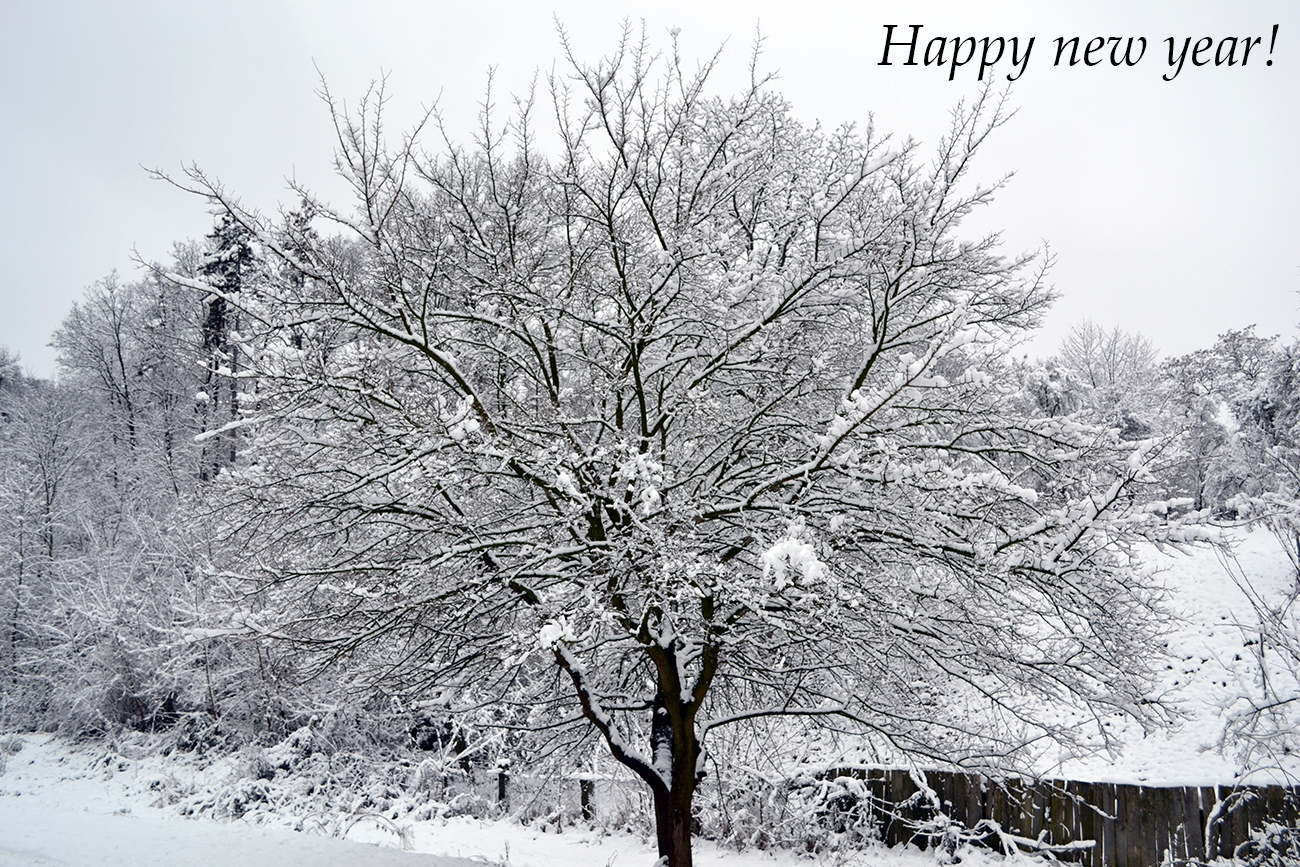Happy new year!