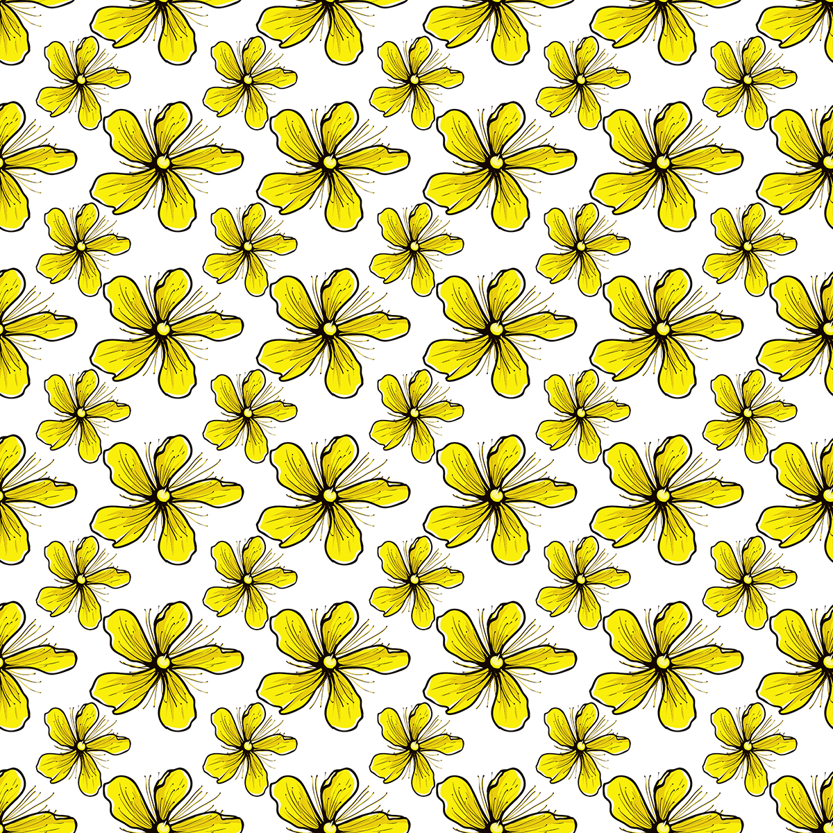 hypericum